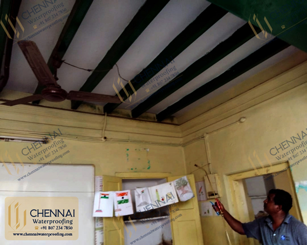 Pest Control Services - Termites Treatment, Triplicane, Chennai